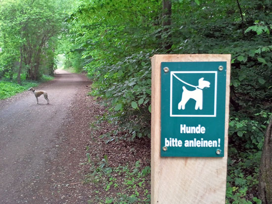 Hunde bitte anleinen- oder auch nicht